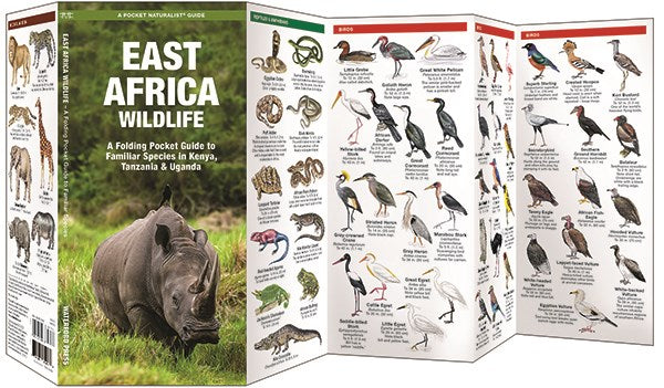 East Africa Wildlife