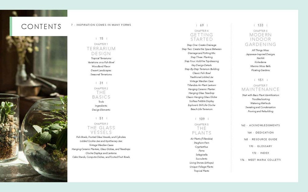 Terrariums - Gardens Under Glass