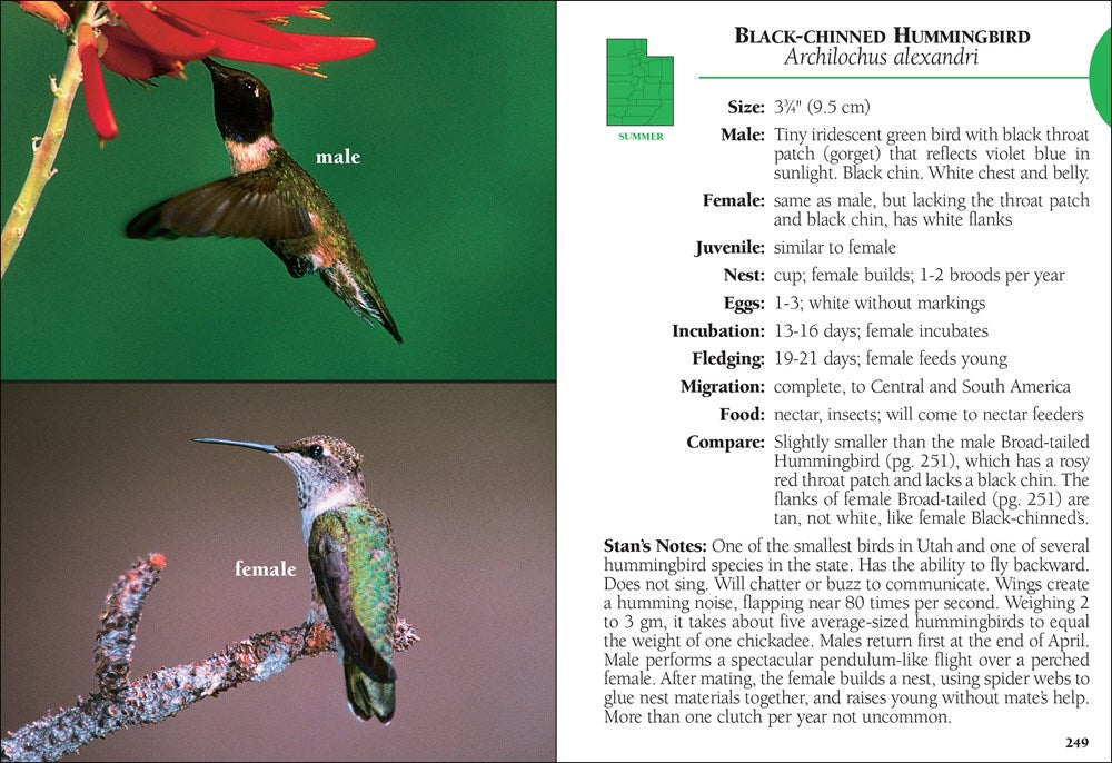 Birds of Utah Field Guide