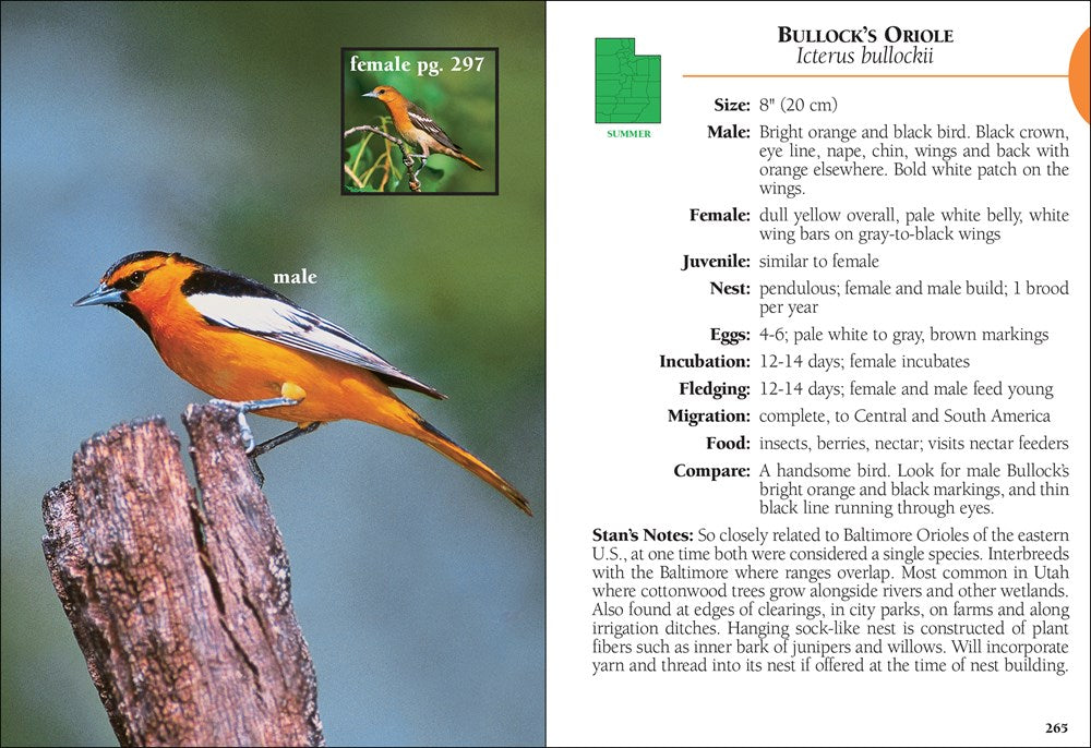 Birds of Utah Field Guide