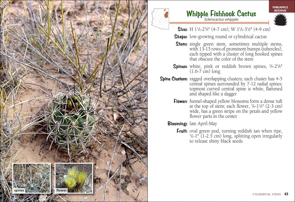 Cactus of Arizona Field Guide