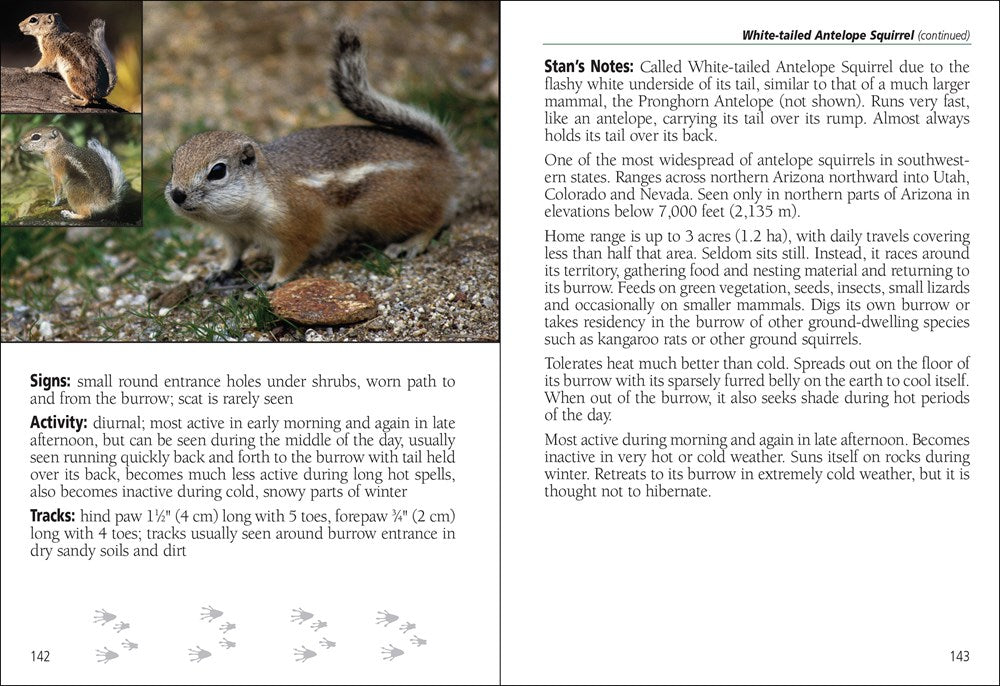Mammals of Arizona Field Guide