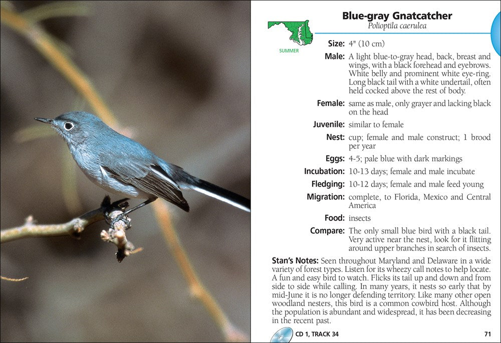 Birds of Maryland & Delaware Field Guide
