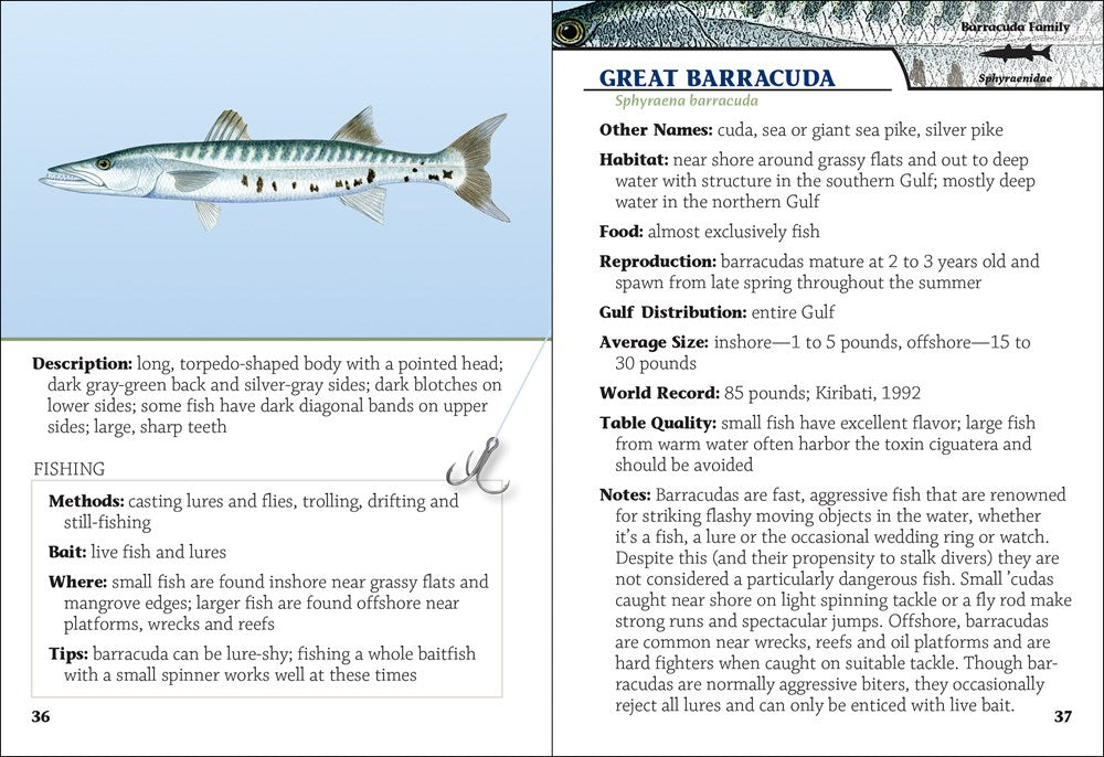 Saltwater Sport Fish of the Gulf Field Guide