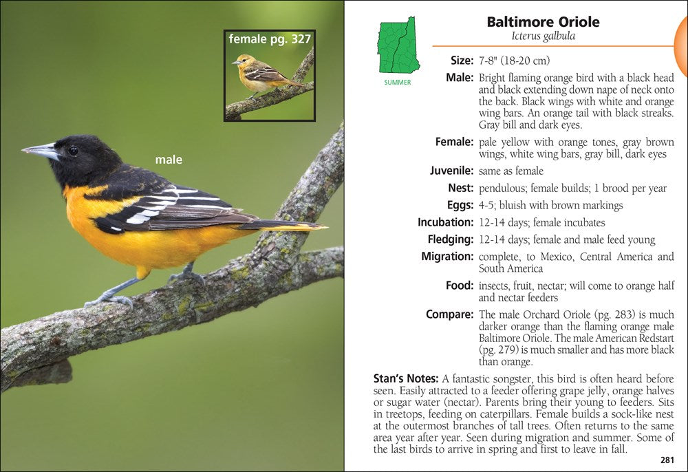 Birds of New Hampshire & Vermont Field Guide