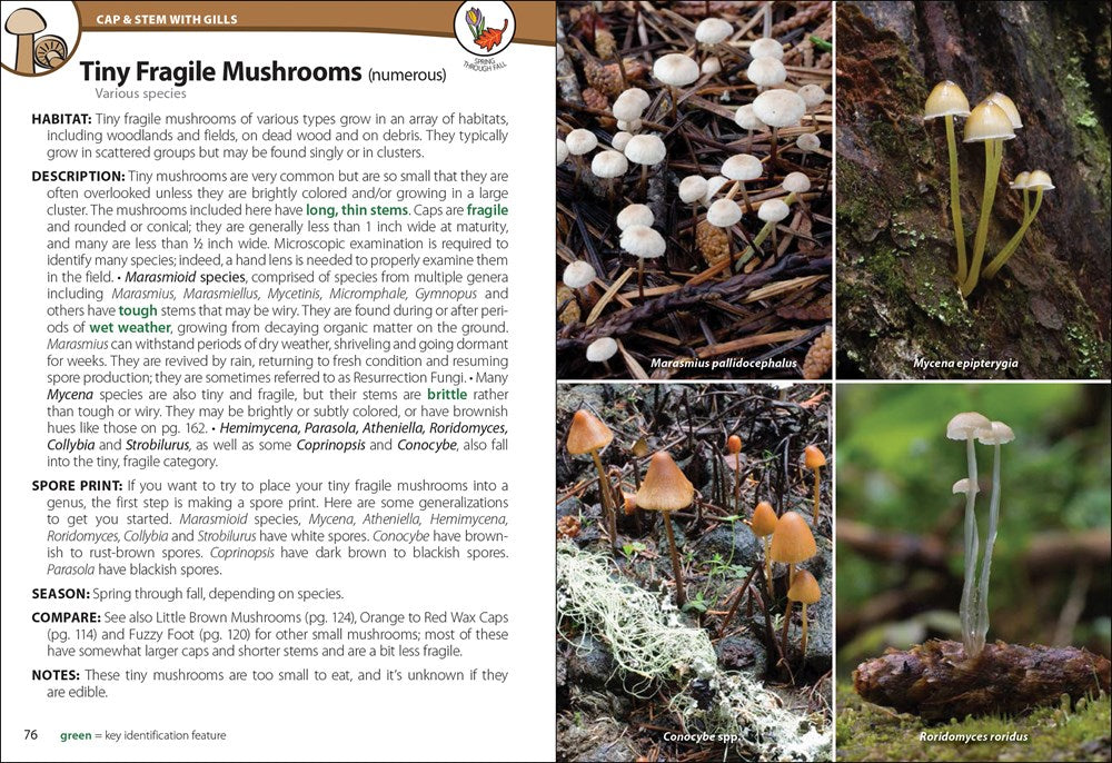 Mushrooms of the Northwest
