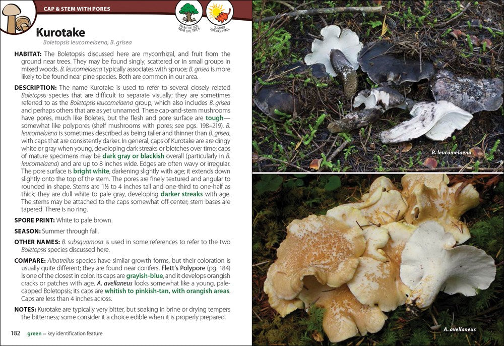 Mushrooms of the Northwest