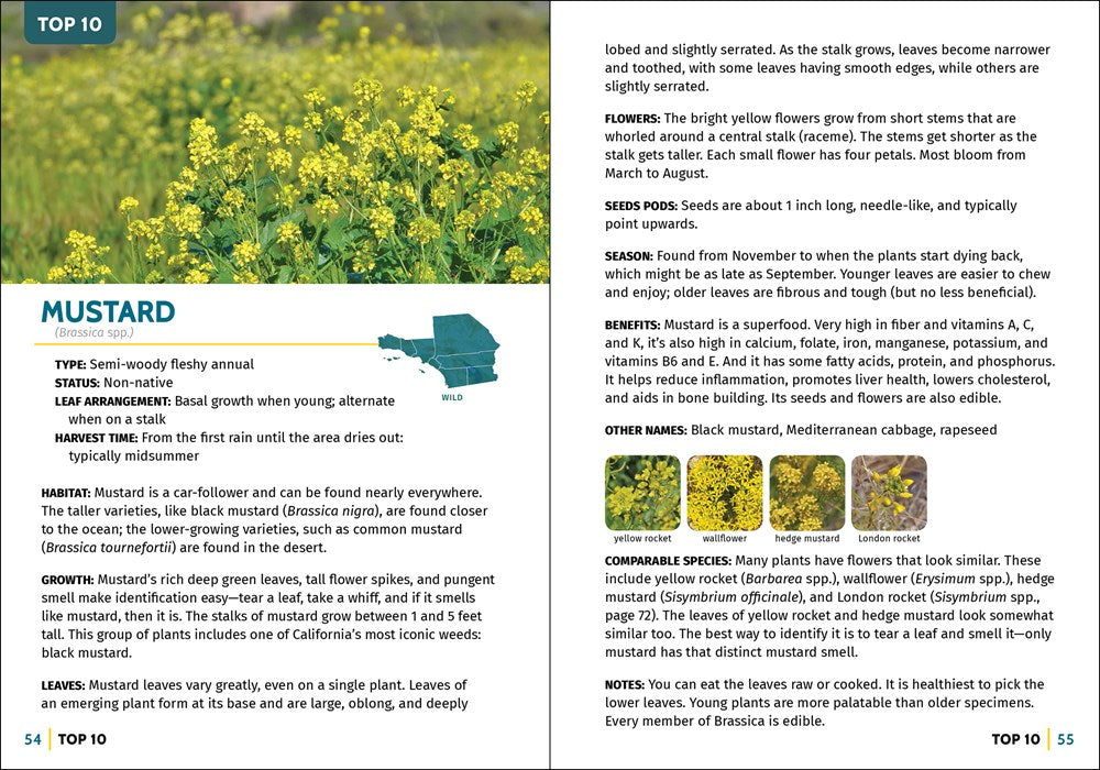 Foraging Southern California