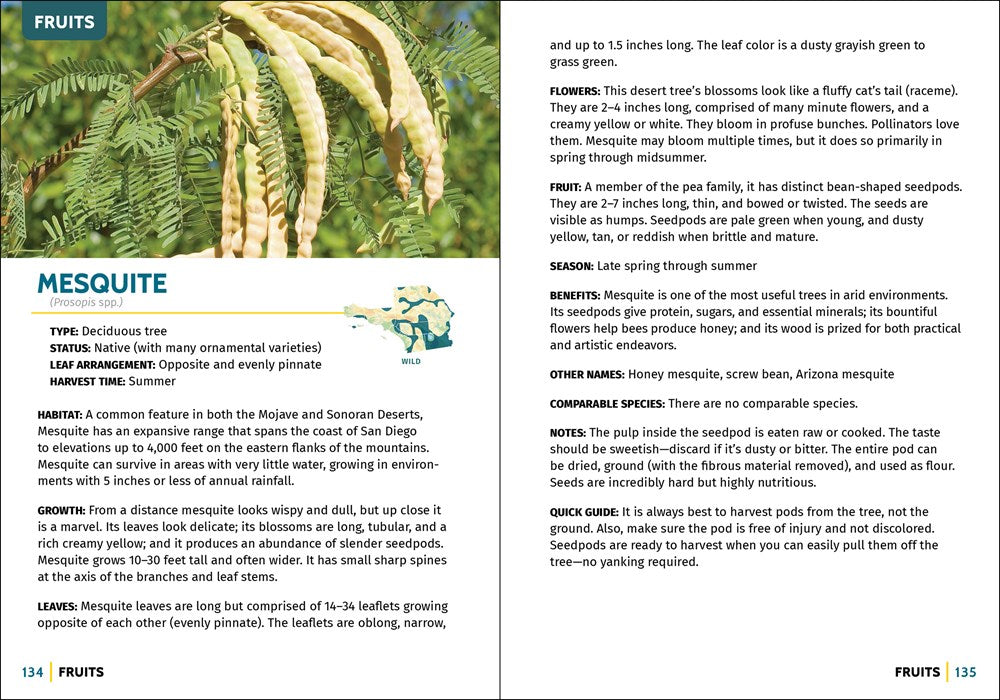 Foraging Southern California