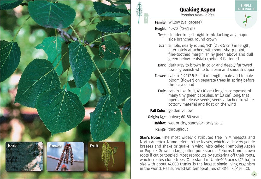 Trees of Minnesota Field Guide