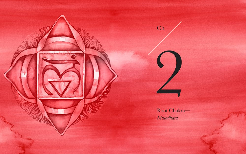 The Ultimate Guide to Chakras