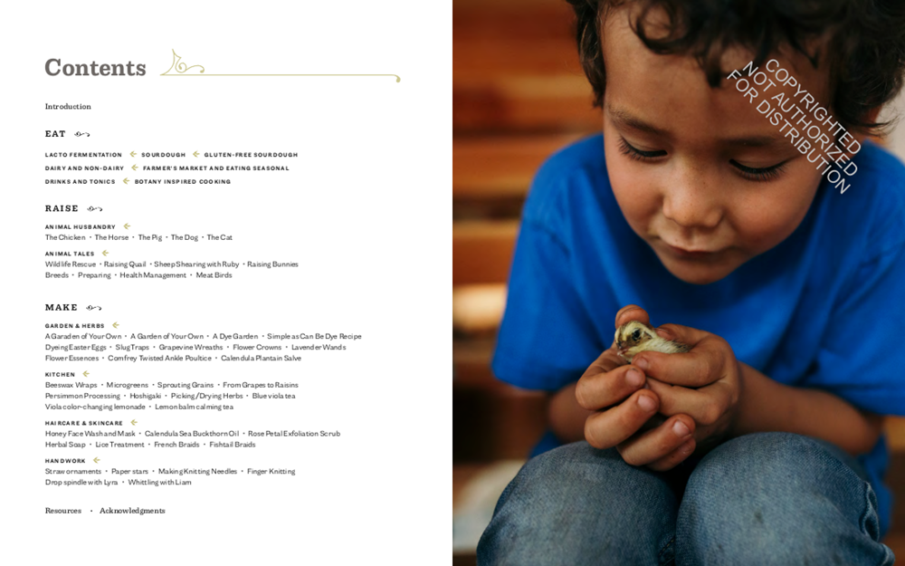 The Children's Heritage Sourcebook