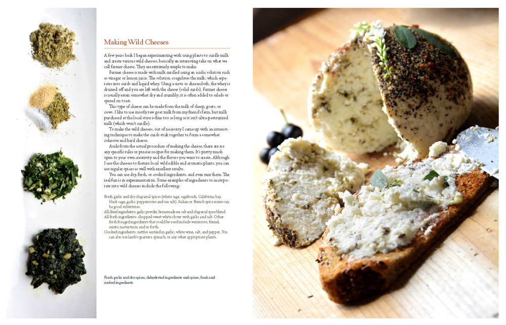 The New Wildcrafted Cuisine