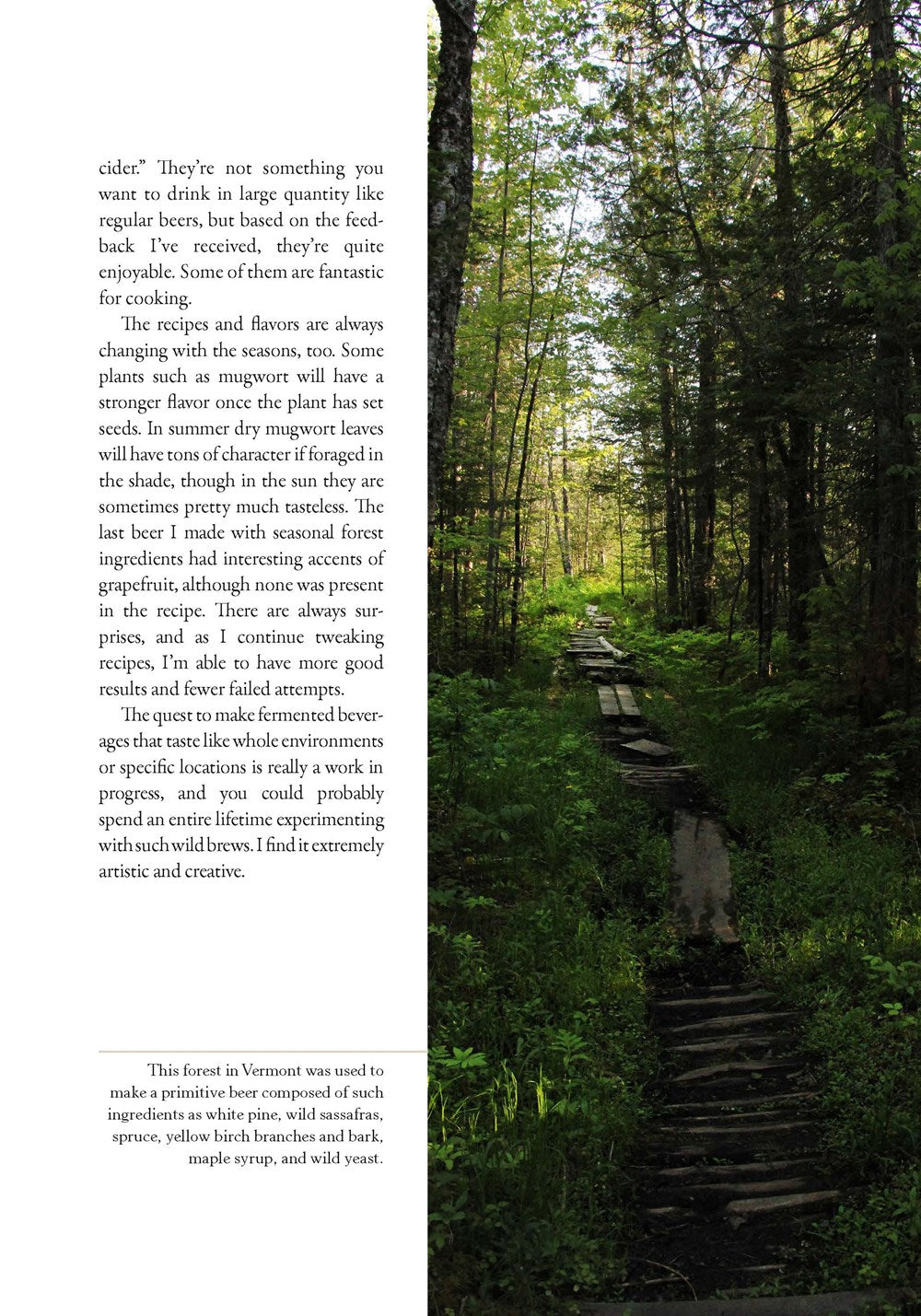 The Wildcrafting Brewer