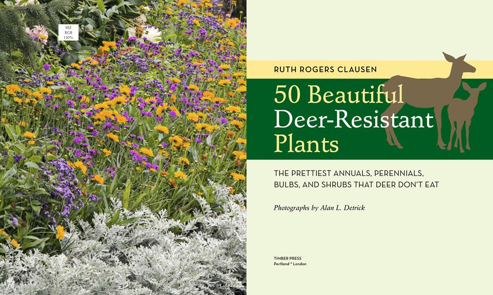 50 Beautiful Deer-Resistant Plants