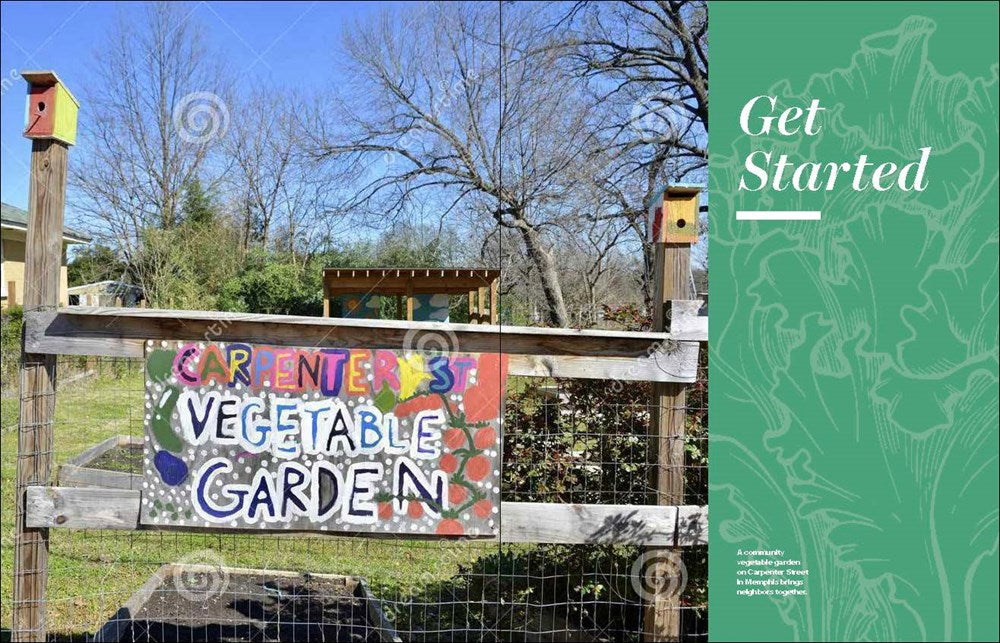 Grow Great Vegetables in Tennessee