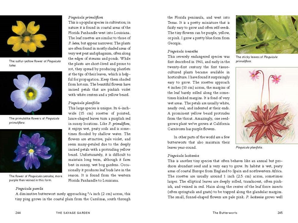 The Savage Garden, Revised