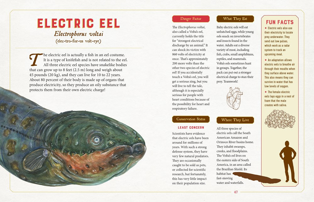 A Curious Collection of Dangerous Creatures