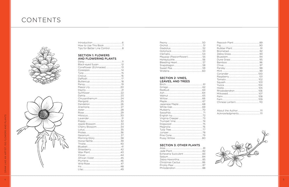 Draw Like an Artist: 100 Flowers and Plants
