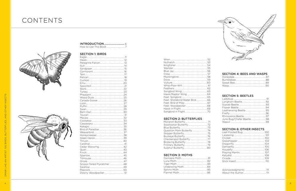 Draw Like an Artist: 100 Birds, Butterflies, and Other Insects