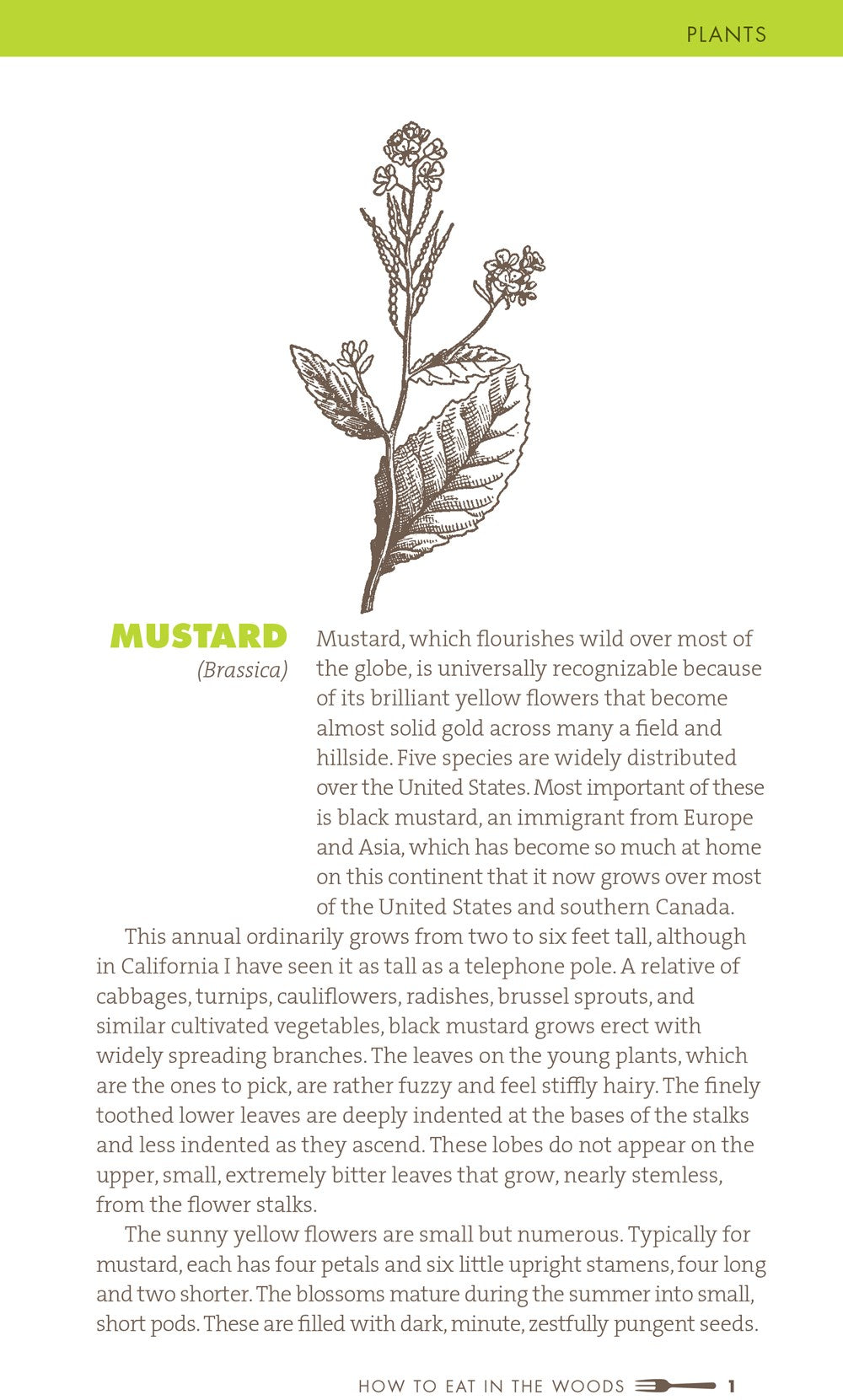 How to Eat in the Woods