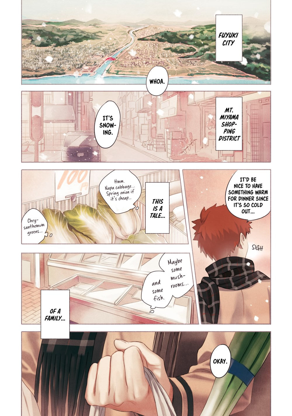 Today's Menu for the Emiya Family, Volume 1