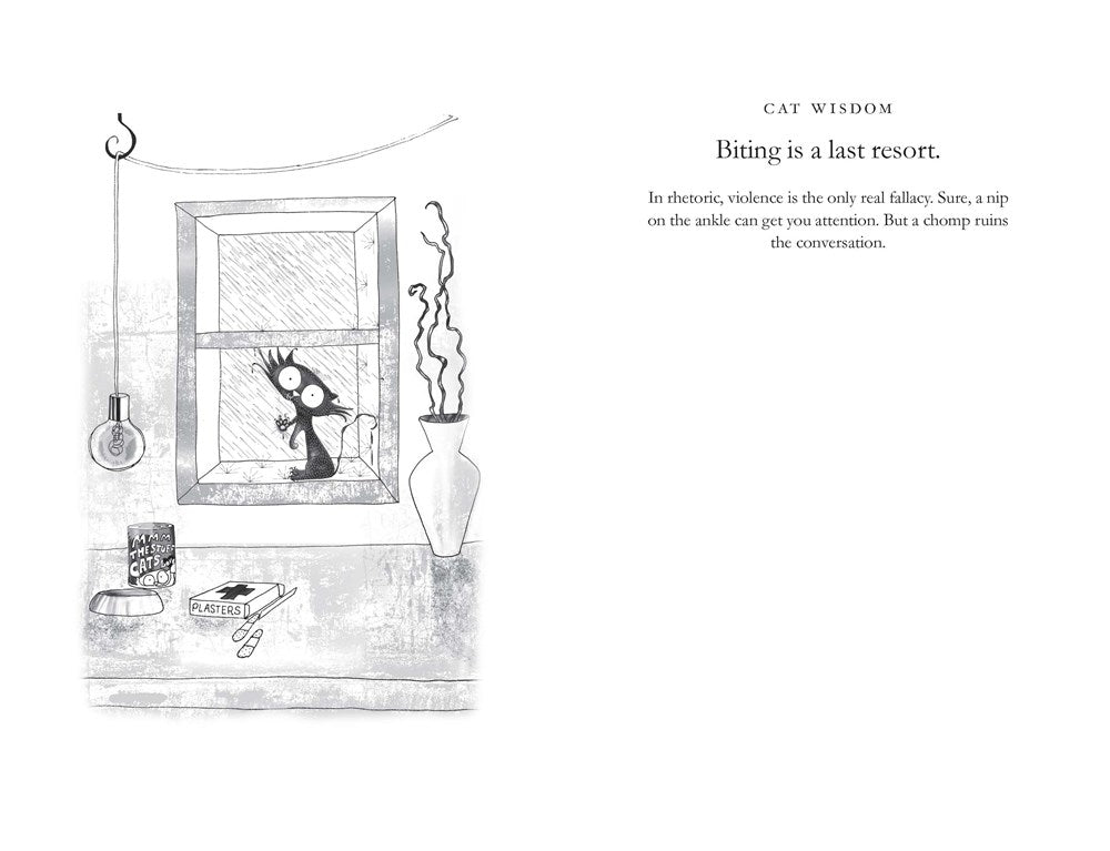 How to Argue with a Cat