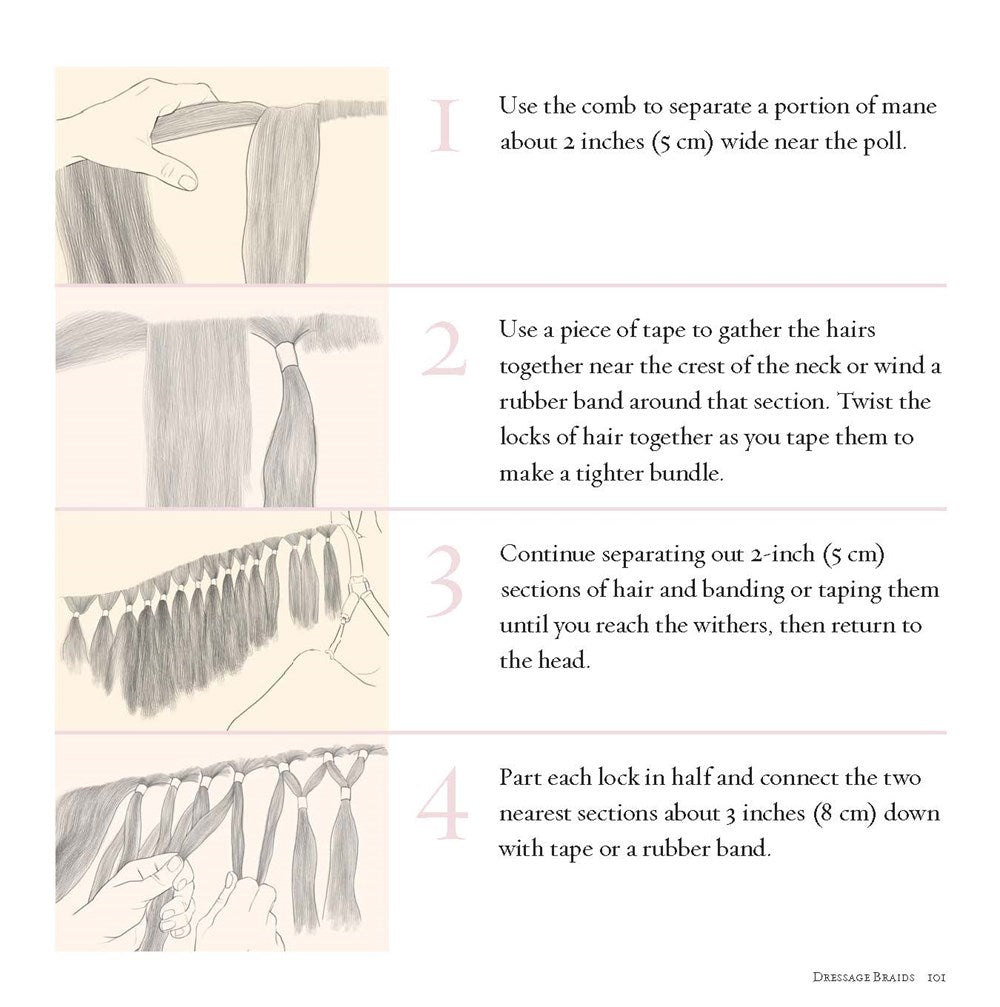 Braiding Manes and Tails