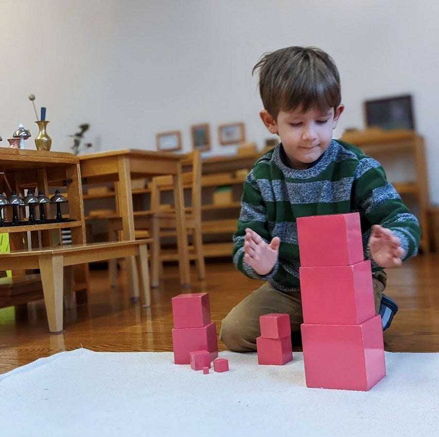 The Montessori Potential