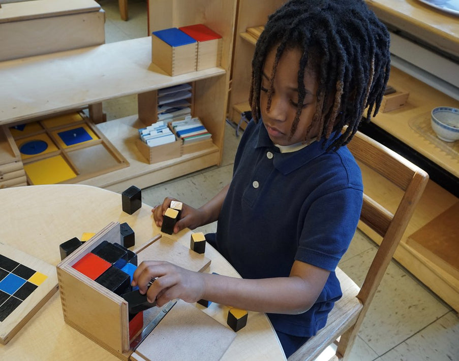The Montessori Potential