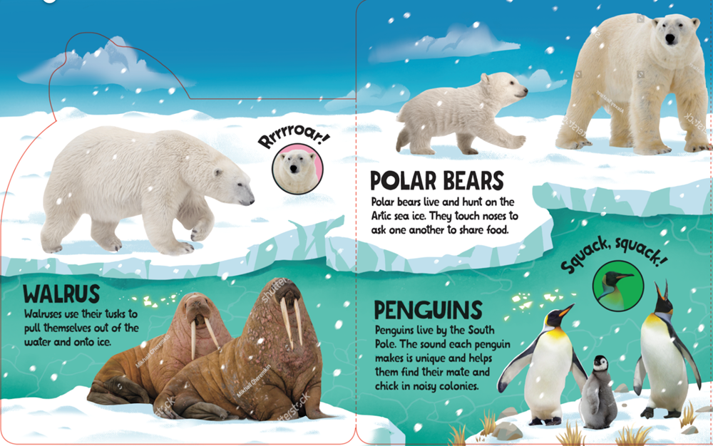 Swim, Splash, in the Sea!