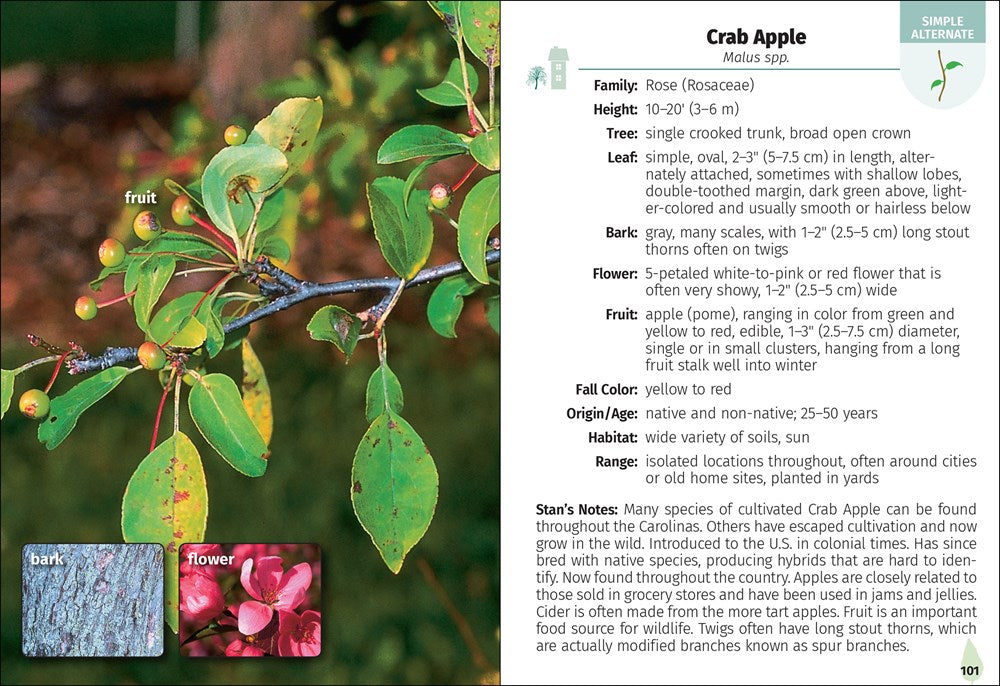 Trees of the Carolinas Field Guide
