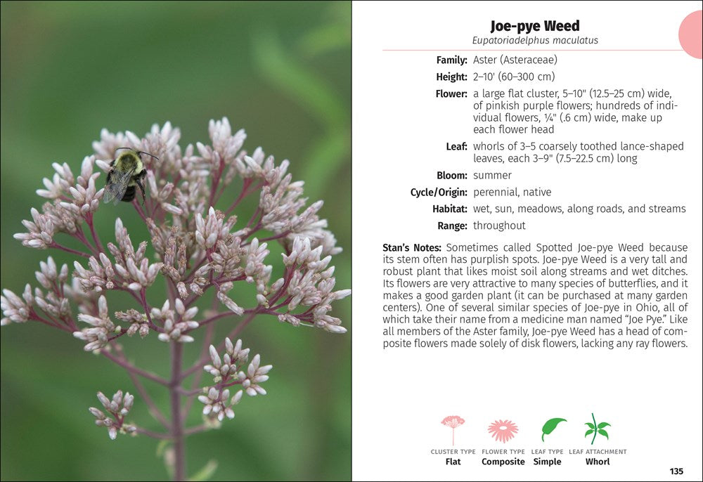 Wildflowers of Ohio Field Guide