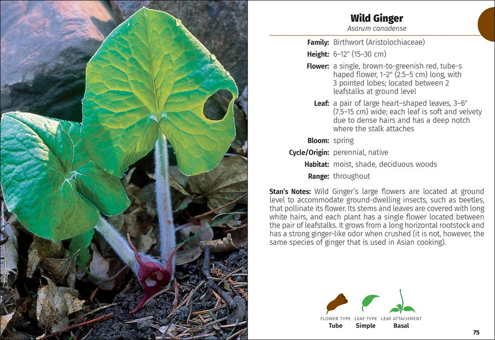 Wildflowers of Wisconsin Field Guide