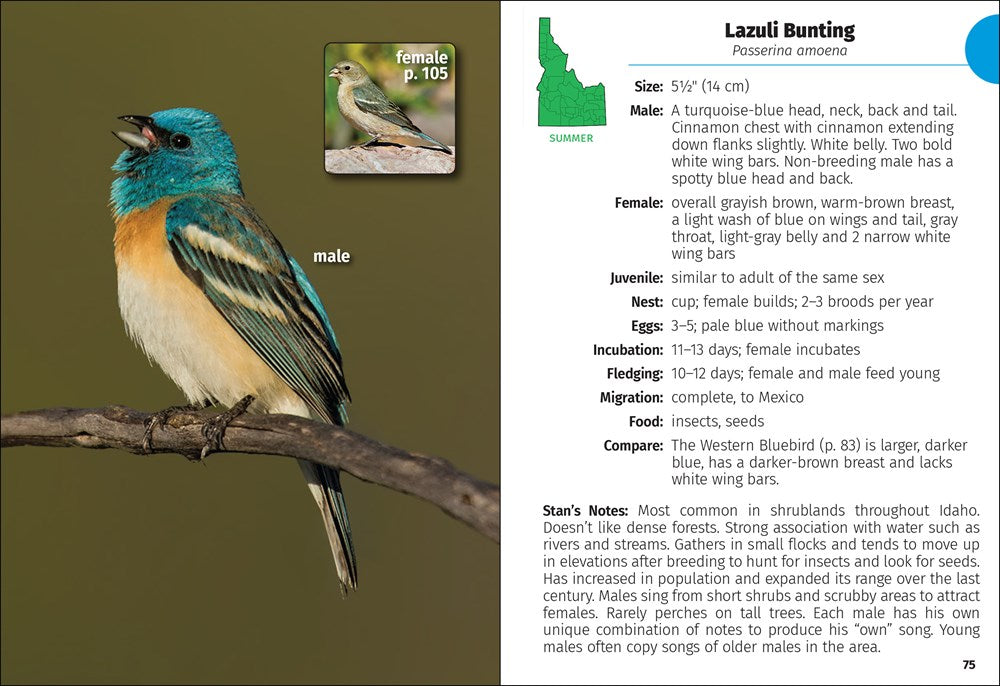 Birds of Idaho Field Guide