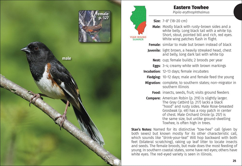 Birds of Illinois Field Guide