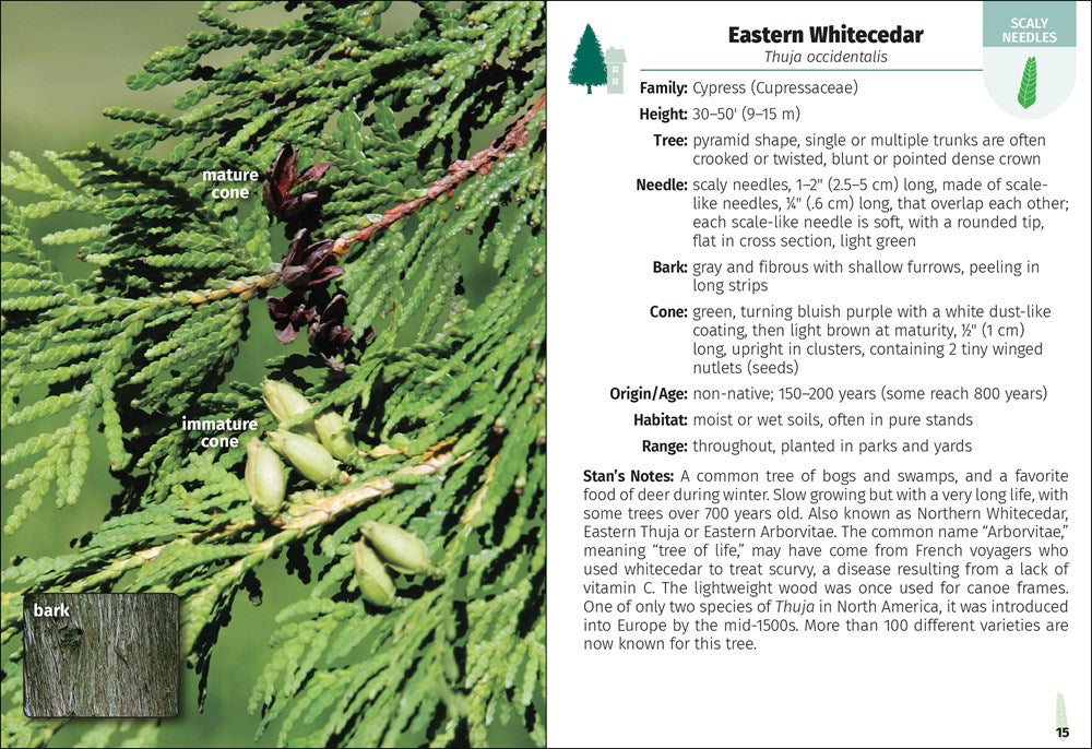 Trees of Missouri Field Guide