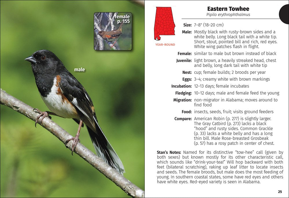 Birds of Alabama Field Guide