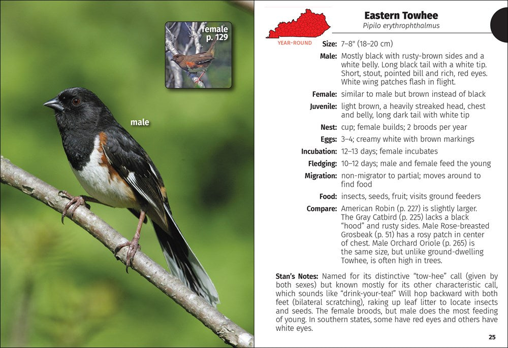 Birds of Kentucky Field Guide
