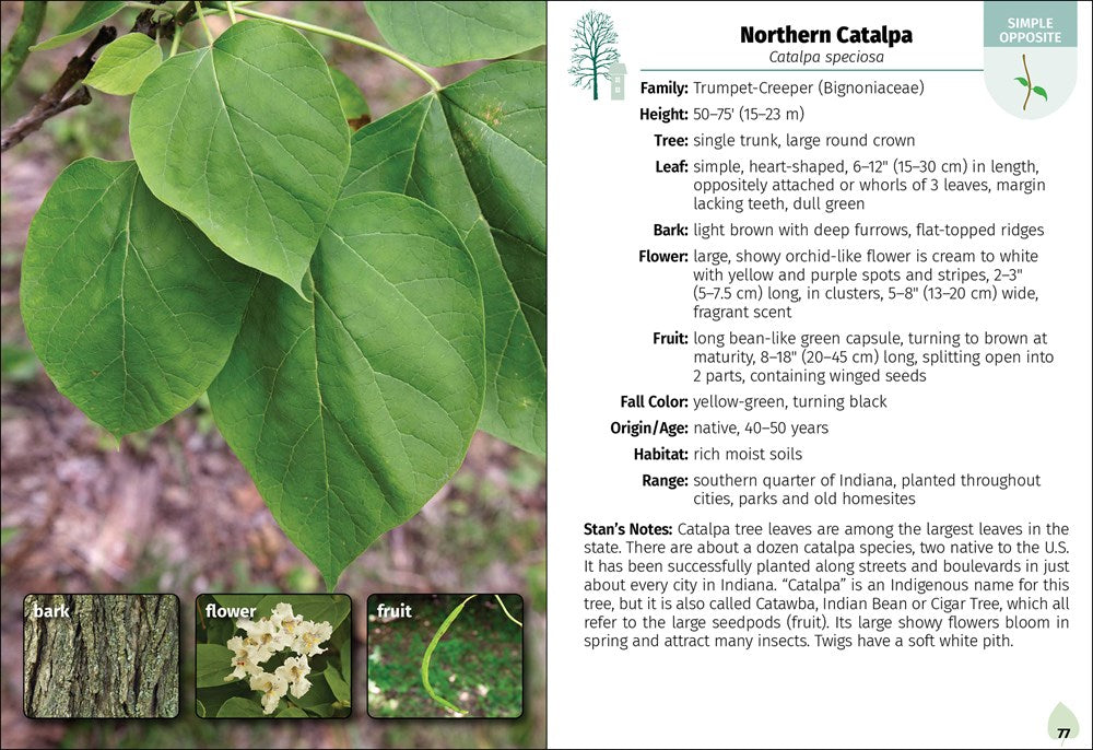 Trees of Indiana Field Guide