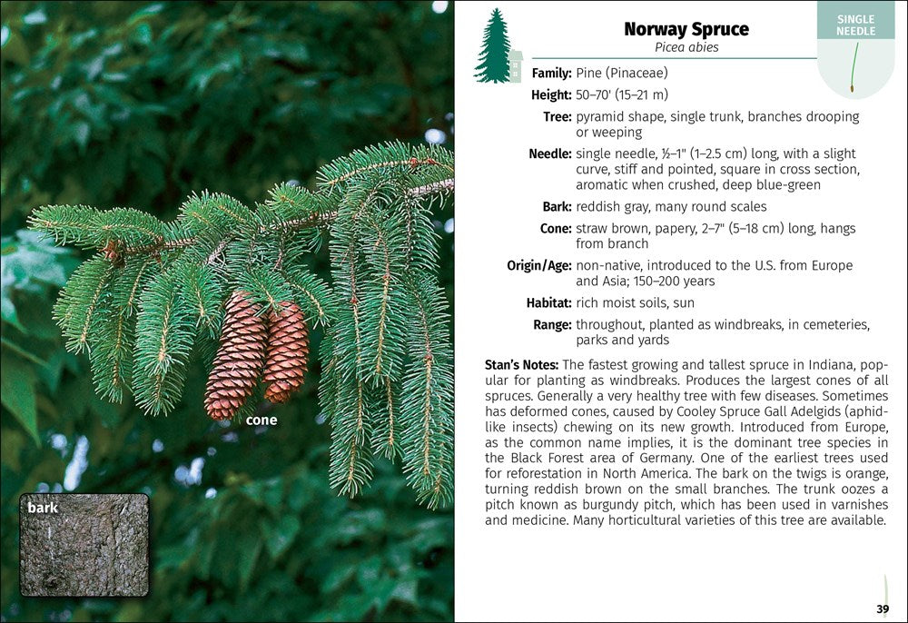 Trees of Indiana Field Guide