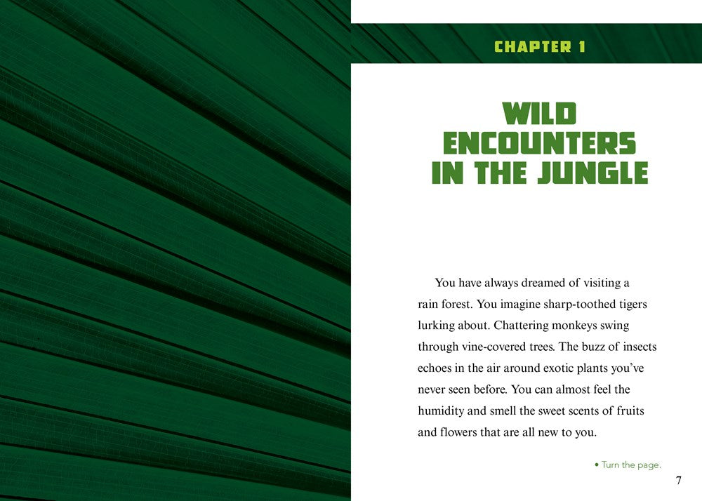 Can You Survive Deadly Rain Forest Encounters?