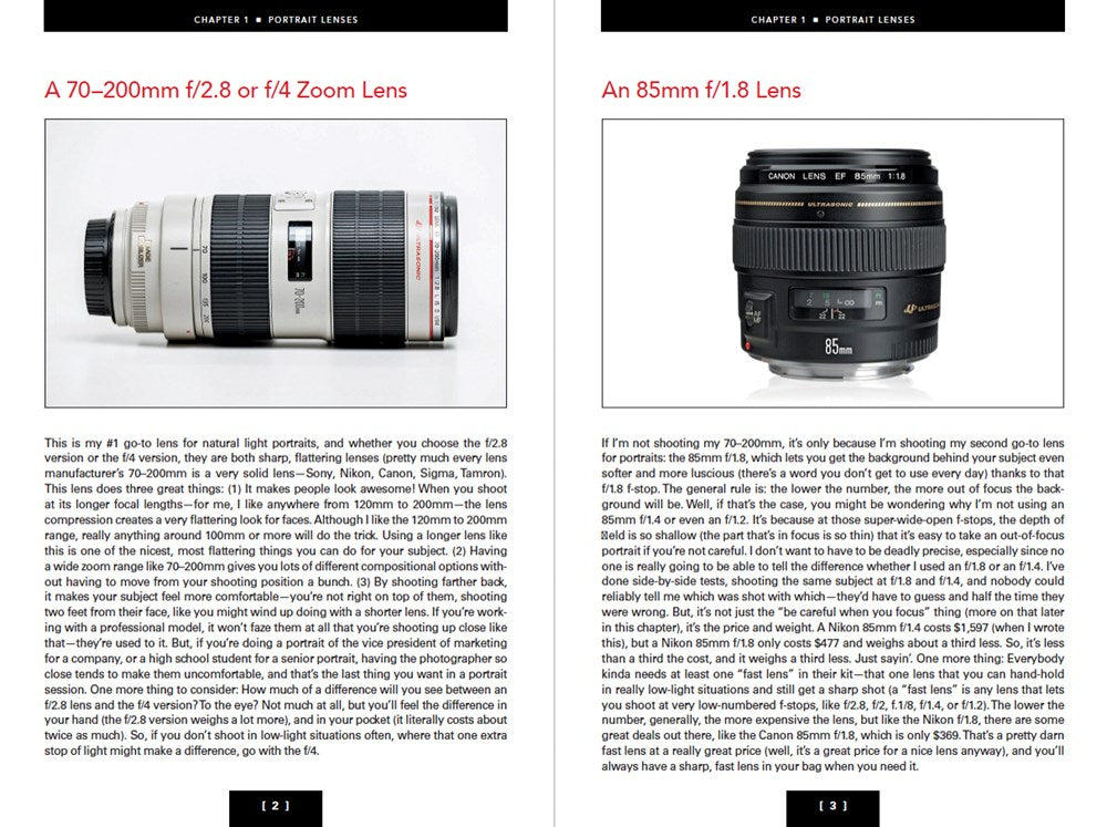 The Natural Light Portrait Book