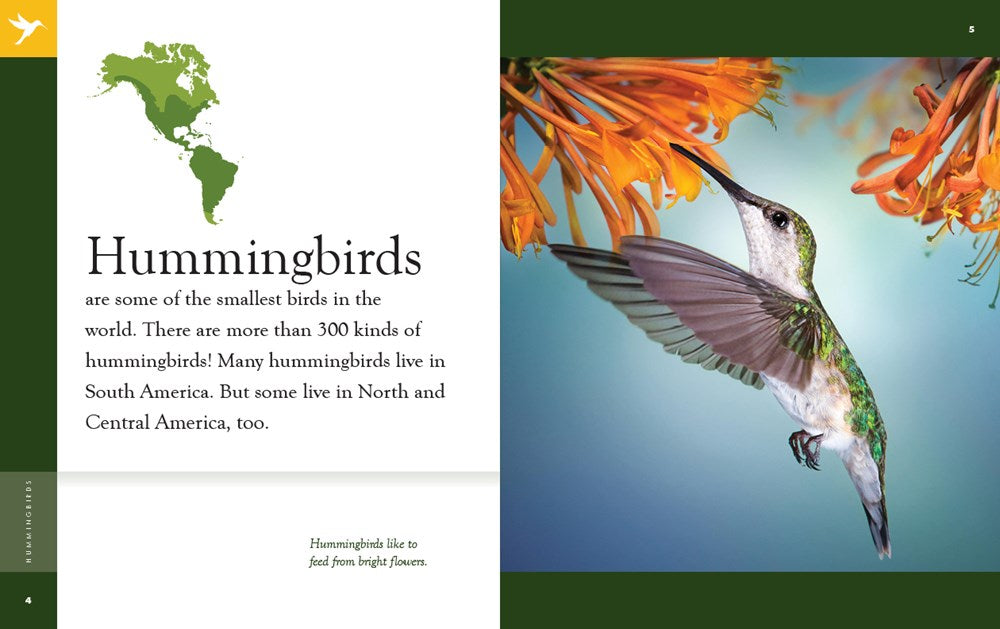 Hummingbirds