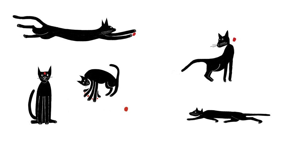 P.S. I Love You More Than Tuna