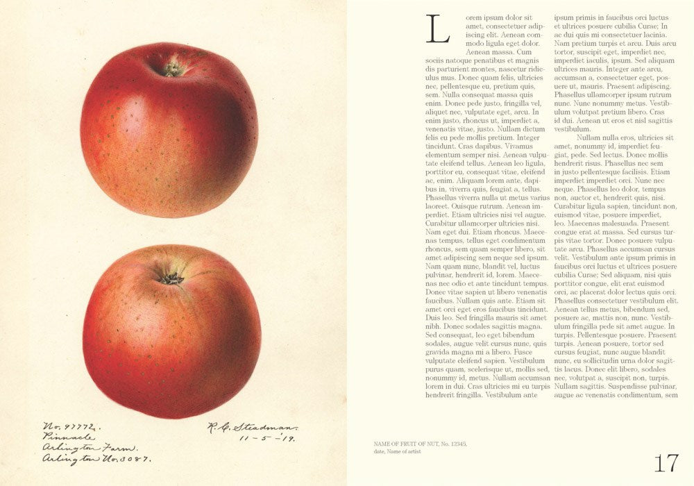 An Illustrated Catalog of American Fruits & Nuts