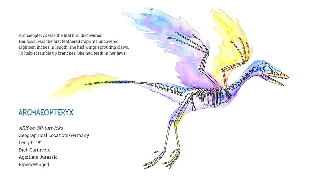 X-Ray Dinosaurs And Other Prehistoric Creatures