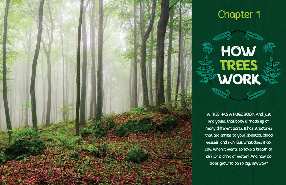 Can You Hear The Trees Talking?