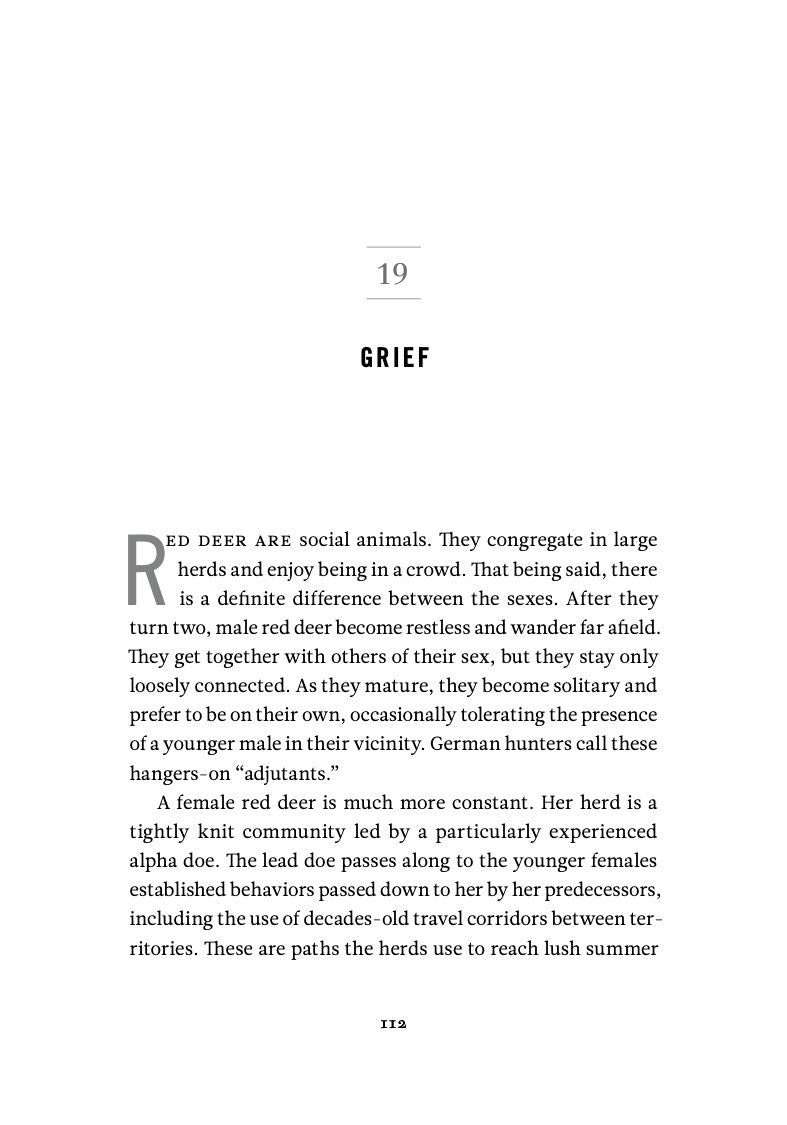 The Inner Life of Animals