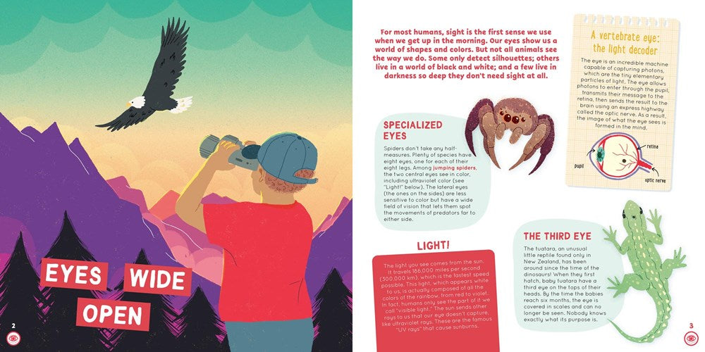 When Elephants Listen With Their Feet